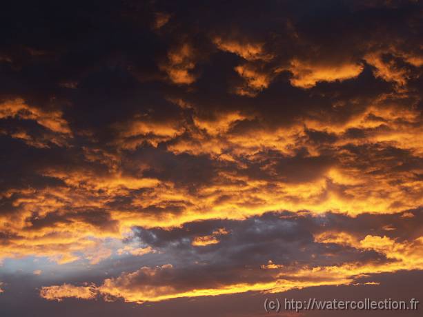 2004-09-15 19-32-03 Nature 74,0mm 1_80_eme F4,0 